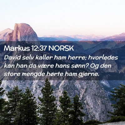 Picture 02 - Markus 12:37 NORSK - David selv kaller ham herre; hvorledes kan han da - Bible Verse Picture