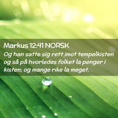Picture 02 - Markus 12:41 NORSK - Og han satte sig rett imot tempelkisten og så - Bible Verse Picture