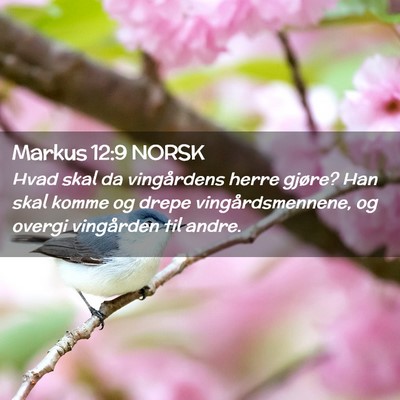 Picture 02 - Markus 12:9 NORSK - Hvad skal da vingårdens herre gjøre? Han skal - Bible Verse Picture