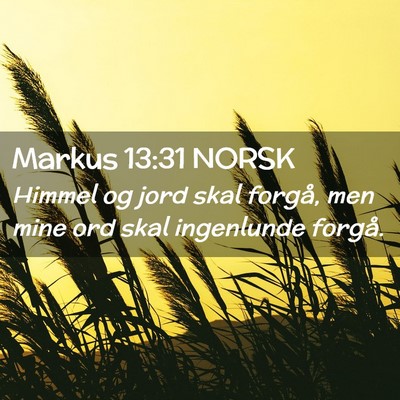 Picture 02 - Markus 13:31 NORSK - Himmel og jord skal forgå, men mine ord skal - Bible Verse Picture