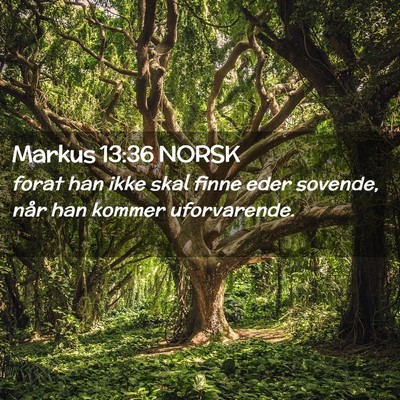 Picture 02 - Markus 13:36 NORSK - forat han ikke skal finne eder sovende, når han - Bible Verse Picture
