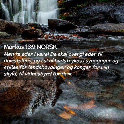 Picture 02 - Markus 13:9 NORSK - Men ta eder i vare! De skal overgi eder til - Bible Verse Picture