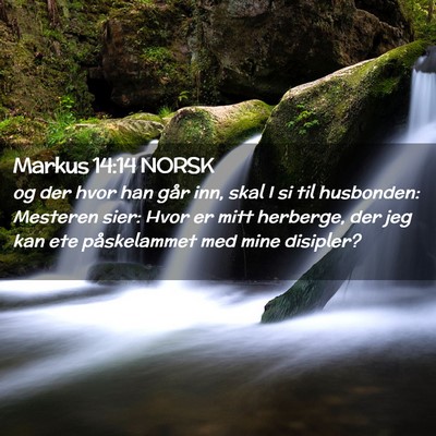 Picture 02 - Markus 14:14 NORSK - og der hvor han går inn, skal I si til - Bible Verse Picture