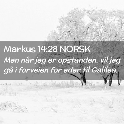 Picture 02 - Markus 14:28 NORSK - Men når jeg er opstanden, vil jeg gå i forveien - Bible Verse Picture