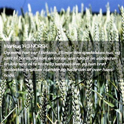 Picture 02 - Markus 14:3 NORSK - Og mens han var i Betania, i Simon den spedalskes - Bible Verse Picture