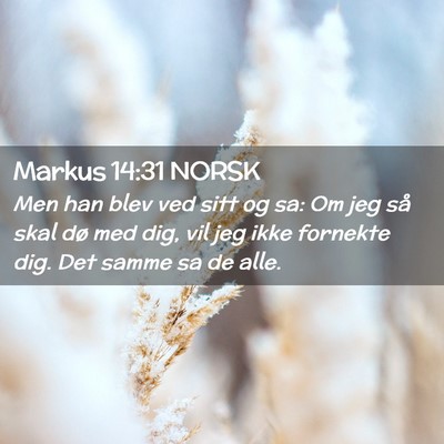 Picture 02 - Markus 14:31 NORSK - Men han blev ved sitt og sa: Om jeg så skal dø - Bible Verse Picture