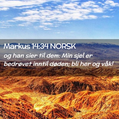 Picture 02 - Markus 14:34 NORSK - og han sier til dem: Min sjel er bedrøvet inntil - Bible Verse Picture