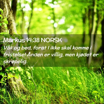 Picture 02 - Markus 14:38 NORSK - Våk og bed, forat I ikke skal komme i fristelse! - Bible Verse Picture