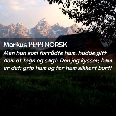 Picture 02 - Markus 14:44 NORSK - Men han som forrådte ham, hadde gitt dem et tegn - Bible Verse Picture