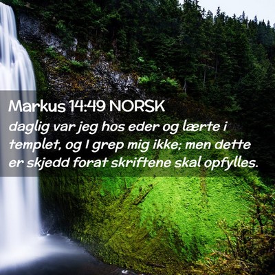 Picture 02 - Markus 14:49 NORSK - daglig var jeg hos eder og lærte i templet, og I - Bible Verse Picture