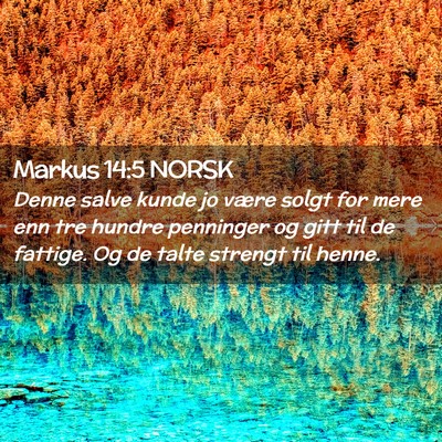 Picture 02 - Markus 14:5 NORSK - Denne salve kunde jo være solgt for mere enn tre - Bible Verse Picture