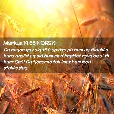 Picture 02 - Markus 14:65 NORSK - Og nogen gav sig til å spytte på ham og - Bible Verse Picture