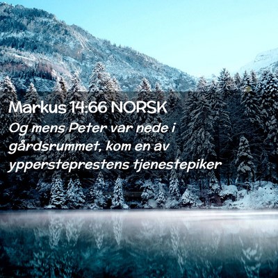 Picture 02 - Markus 14:66 NORSK - Og mens Peter var nede i gårdsrummet, kom en av - Bible Verse Picture