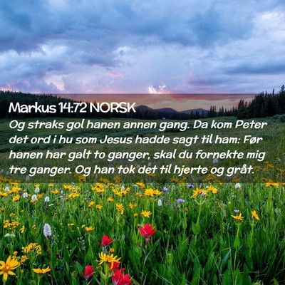 Picture 02 - Markus 14:72 NORSK - Og straks gol hanen annen gang. Da kom Peter det - Bible Verse Picture