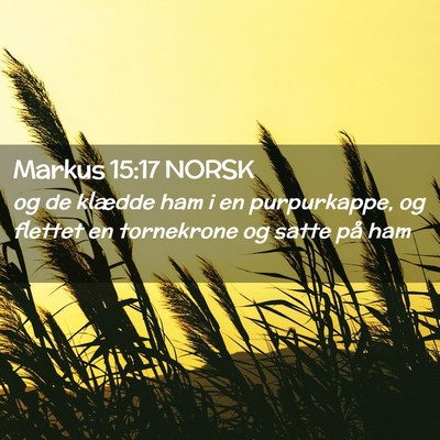 Picture 02 - Markus 15:17 NORSK - og de klædde ham i en purpurkappe, og flettet en - Bible Verse Picture