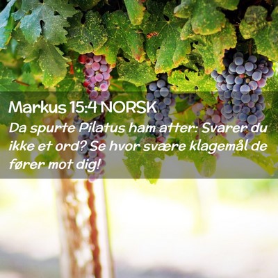 Picture 02 - Markus 15:4 NORSK - Da spurte Pilatus ham atter: Svarer du ikke et - Bible Verse Picture