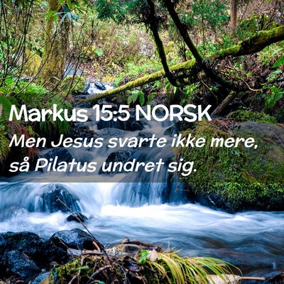 Picture 02 - Markus 15:5 NORSK - Men Jesus svarte ikke mere, så Pilatus undret - Bible Verse Picture