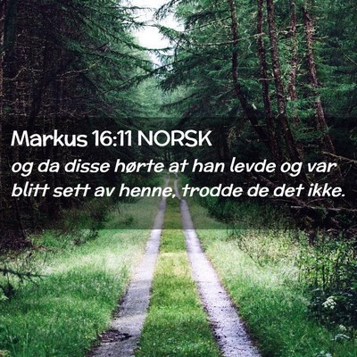 Picture 02 - Markus 16:11 NORSK - og da disse hørte at han levde og var blitt sett - Bible Verse Picture