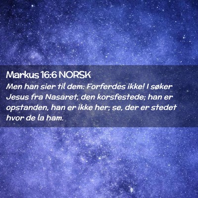 Picture 02 - Markus 16:6 NORSK - Men han sier til dem: Forferdes ikke! I søker - Bible Verse Picture