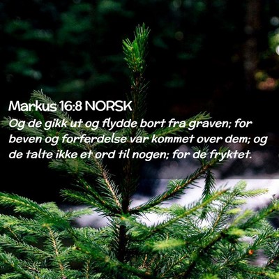 Picture 02 - Markus 16:8 NORSK - Og de gikk ut og flydde bort fra graven; for - Bible Verse Picture
