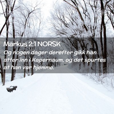 Picture 02 - Markus 2:1 NORSK - Og nogen dager derefter gikk han atter inn i - Bible Verse Picture