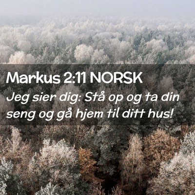 Picture 02 - Markus 2:11 NORSK - Jeg sier dig: Stå op og ta din seng og gå hjem - Bible Verse Picture