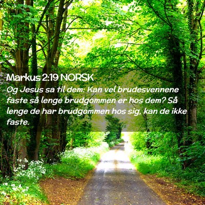 Picture 02 - Markus 2:19 NORSK - Og Jesus sa til dem: Kan vel brudesvennene faste - Bible Verse Picture