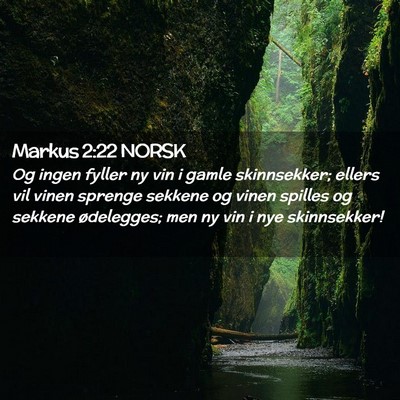 Picture 02 - Markus 2:22 NORSK - Og ingen fyller ny vin i gamle skinnsekker; - Bible Verse Picture