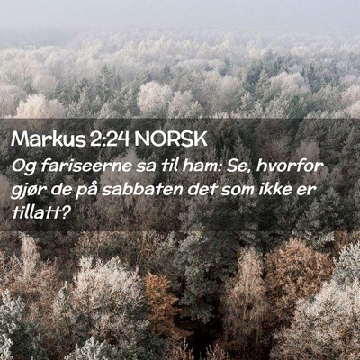 Picture 02 - Markus 2:24 NORSK - Og fariseerne sa til ham: Se, hvorfor gjør de - Bible Verse Picture