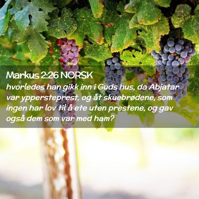 Picture 02 - Markus 2:26 NORSK - hvorledes han gikk inn i Guds hus, da Abjatar var - Bible Verse Picture