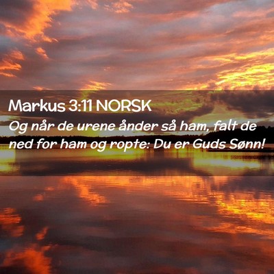 Picture 02 - Markus 3:11 NORSK - Og når de urene ånder så ham, falt de ned for - Bible Verse Picture