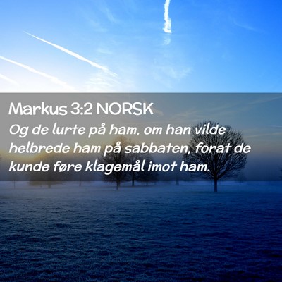 Picture 02 - Markus 3:2 NORSK - Og de lurte på ham, om han vilde helbrede ham - Bible Verse Picture