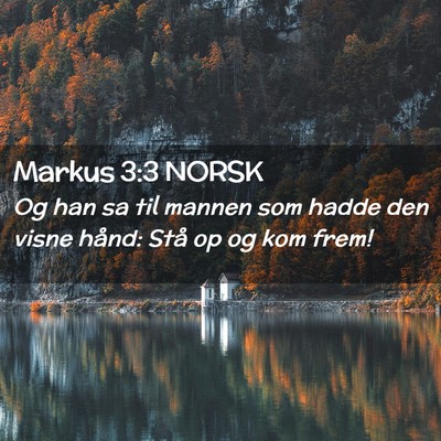 Picture 02 - Markus 3:3 NORSK - Og han sa til mannen som hadde den visne hånd: - Bible Verse Picture