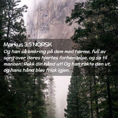 Picture 02 - Markus 3:5 NORSK - Og han så omkring på dem med harme, full av - Bible Verse Picture