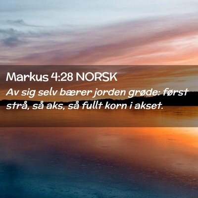 Picture 02 - Markus 4:28 NORSK - Av sig selv bærer jorden grøde: først strå, - Bible Verse Picture