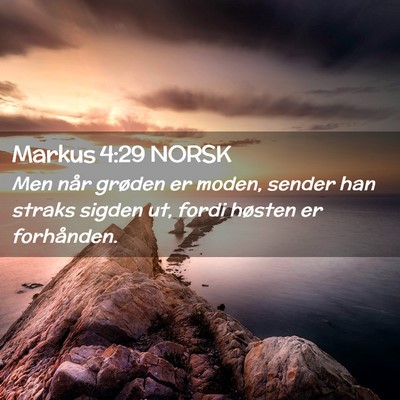 Picture 02 - Markus 4:29 NORSK - Men når grøden er moden, sender han straks - Bible Verse Picture