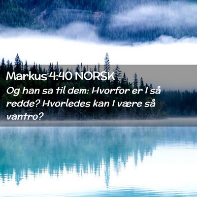 Picture 02 - Markus 4:40 NORSK - Og han sa til dem: Hvorfor er I så redde? - Bible Verse Picture