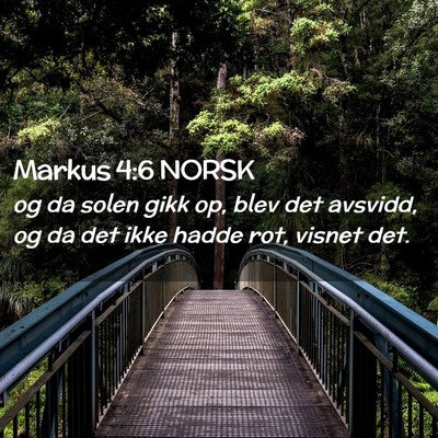 Picture 02 - Markus 4:6 NORSK - og da solen gikk op, blev det avsvidd, og da det - Bible Verse Picture