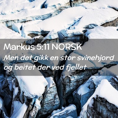 Picture 02 - Markus 5:11 NORSK - Men det gikk en stor svinehjord og beitet der ved - Bible Verse Picture