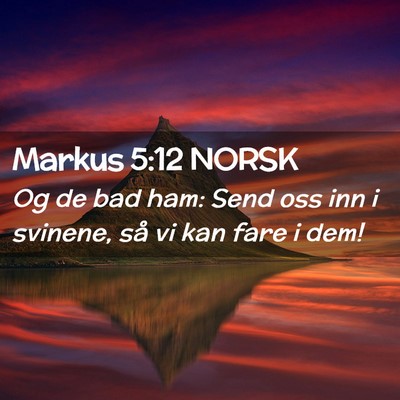 Picture 02 - Markus 5:12 NORSK - Og de bad ham: Send oss inn i svinene, så vi kan - Bible Verse Picture