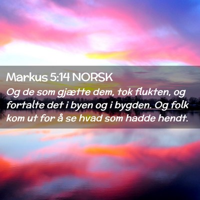 Picture 02 - Markus 5:14 NORSK - Og de som gjætte dem, tok flukten, og fortalte - Bible Verse Picture