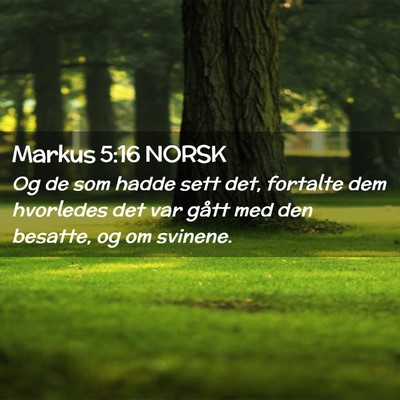 Picture 02 - Markus 5:16 NORSK - Og de som hadde sett det, fortalte dem hvorledes - Bible Verse Picture