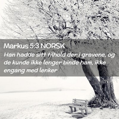 Picture 02 - Markus 5:3 NORSK - Han hadde sitt tilhold der i gravene, og de kunde - Bible Verse Picture