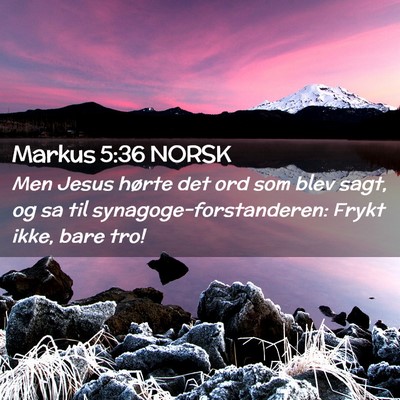 Picture 02 - Markus 5:36 NORSK - Men Jesus hørte det ord som blev sagt, og sa til - Bible Verse Picture