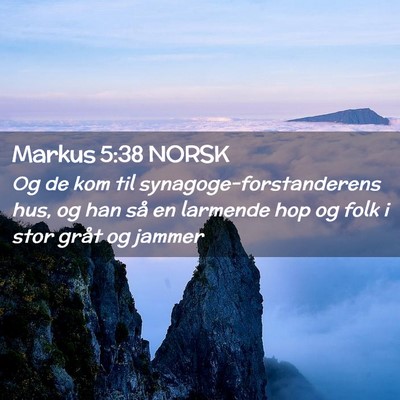 Picture 02 - Markus 5:38 NORSK - Og de kom til synagoge-forstanderens hus, og han - Bible Verse Picture