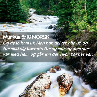 Picture 02 - Markus 5:40 NORSK - Og de lo ham ut. Men han driver alle ut, og tar - Bible Verse Picture