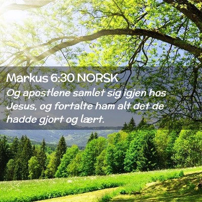 Picture 02 - Markus 6:30 NORSK - Og apostlene samlet sig igjen hos Jesus, og - Bible Verse Picture