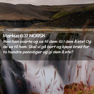 Picture 02 - Markus 6:37 NORSK - Men han svarte og sa til dem: Gi I dem å ete! Og - Bible Verse Picture