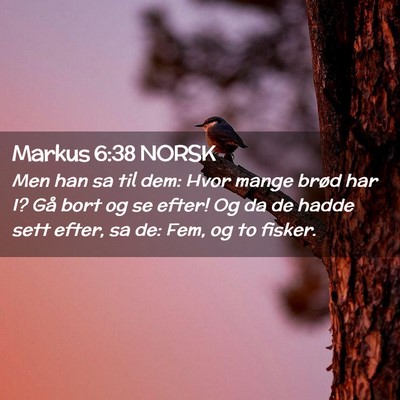 Picture 02 - Markus 6:38 NORSK - Men han sa til dem: Hvor mange brød har I? Gå - Bible Verse Picture