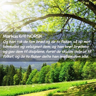 Picture 02 - Markus 6:41 NORSK - Og han tok de fem brød og de to fisker, så op - Bible Verse Picture